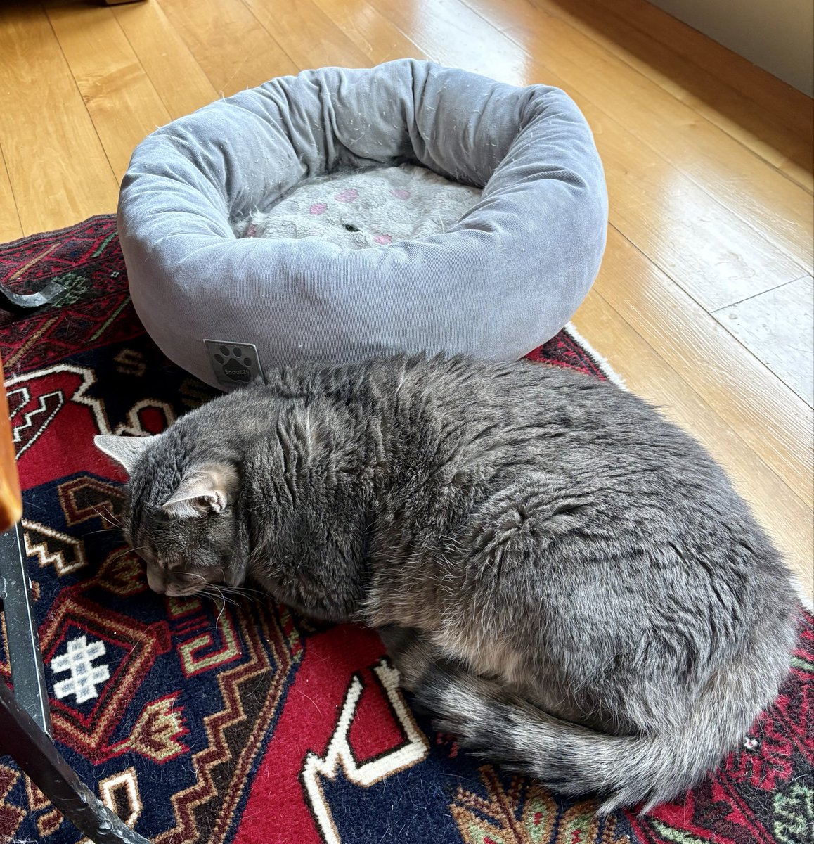 Chris Bohjalian tweet media