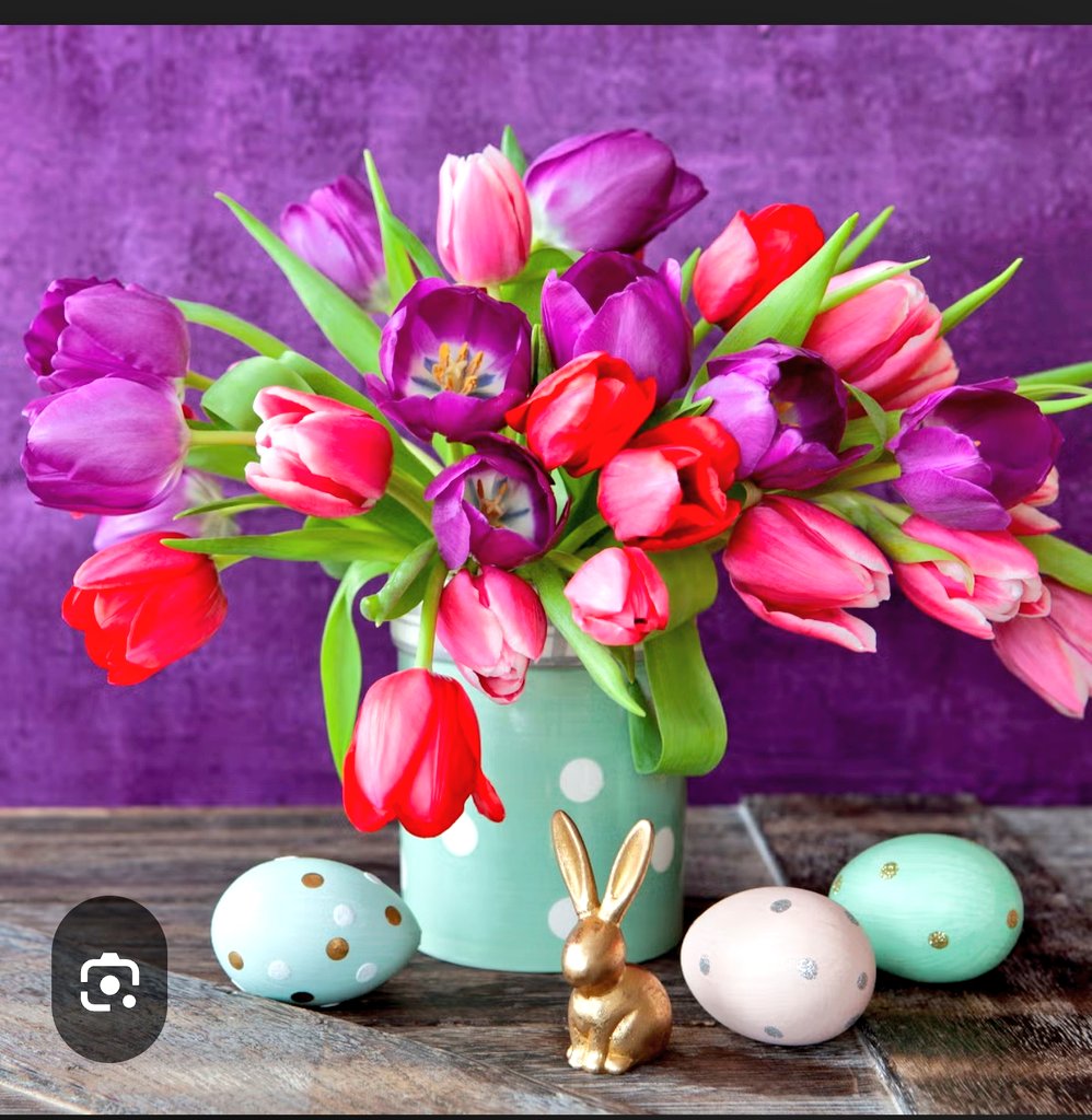 C Wall 🤗💓😉🎶👀 🇺🇦👩‍👦🇺🇸🦋''26🟨 tweet media