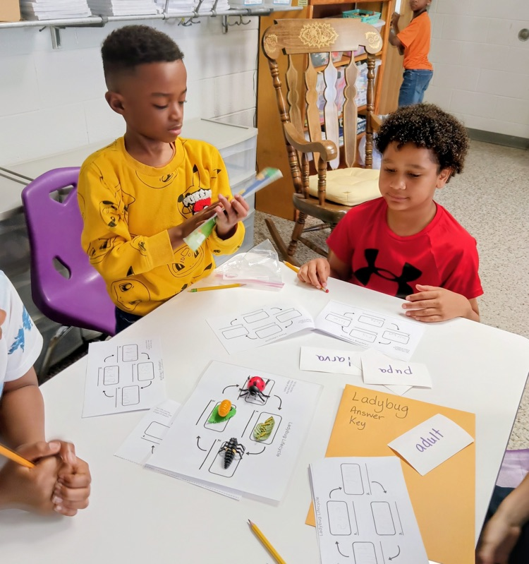 DCEsuperhornets's tweet photo. Learning is in full bloom in second grade! ๐ธ๐ Students explored life cycles through hands-on stations, discovering how plants and animals grow, change, and thrive. Science has never been so engaging! #LaunchintoLearning https://t.co/JBdUJEdKKm