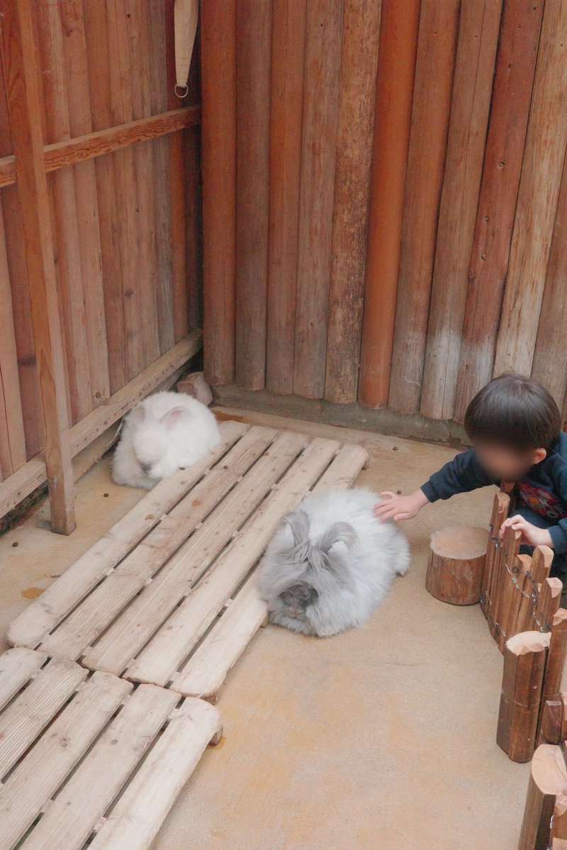 ベラ🍓 tweet media