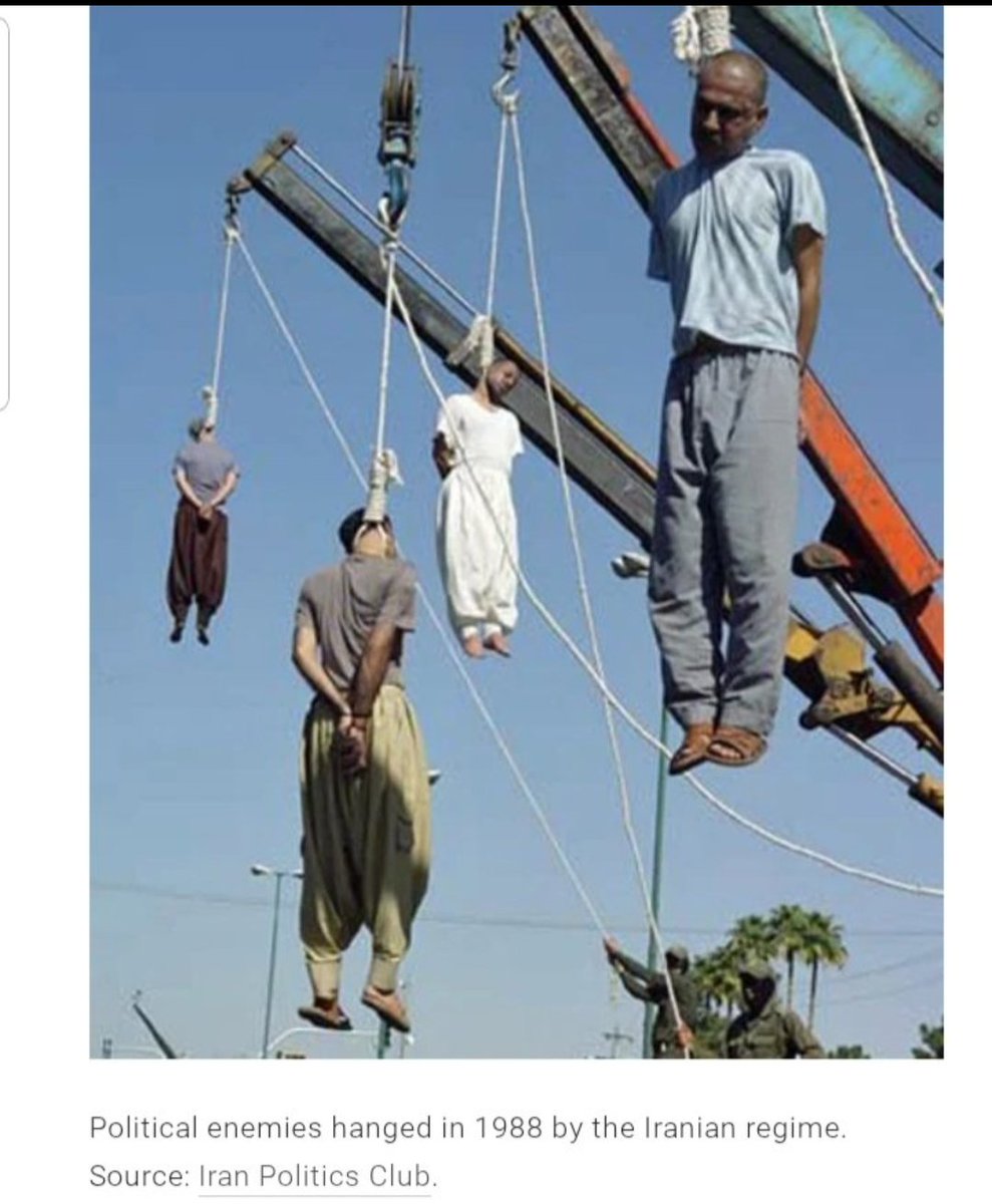 Puzzledug2-Electric Boogaloo tweet media