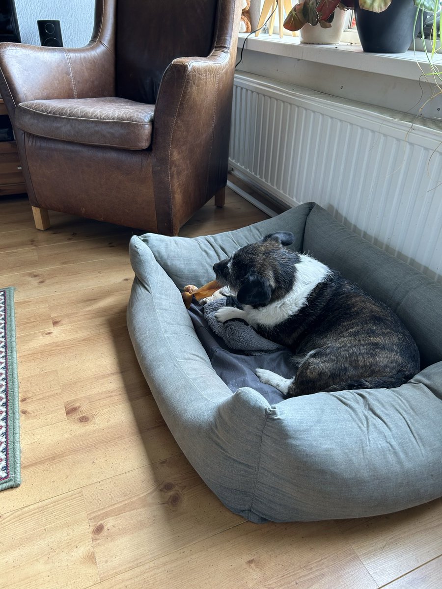 rian de lange tweet media