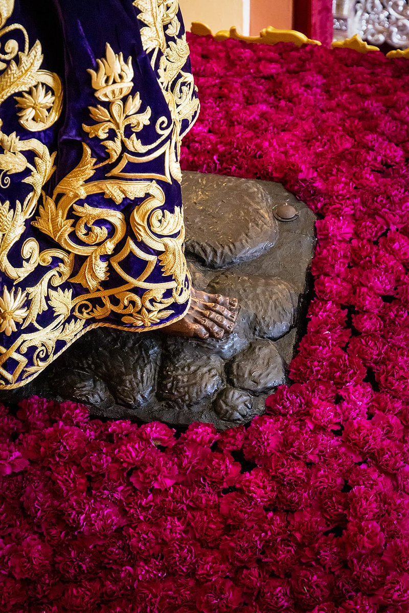 Hdad. del Rosario de Santiponce tweet media