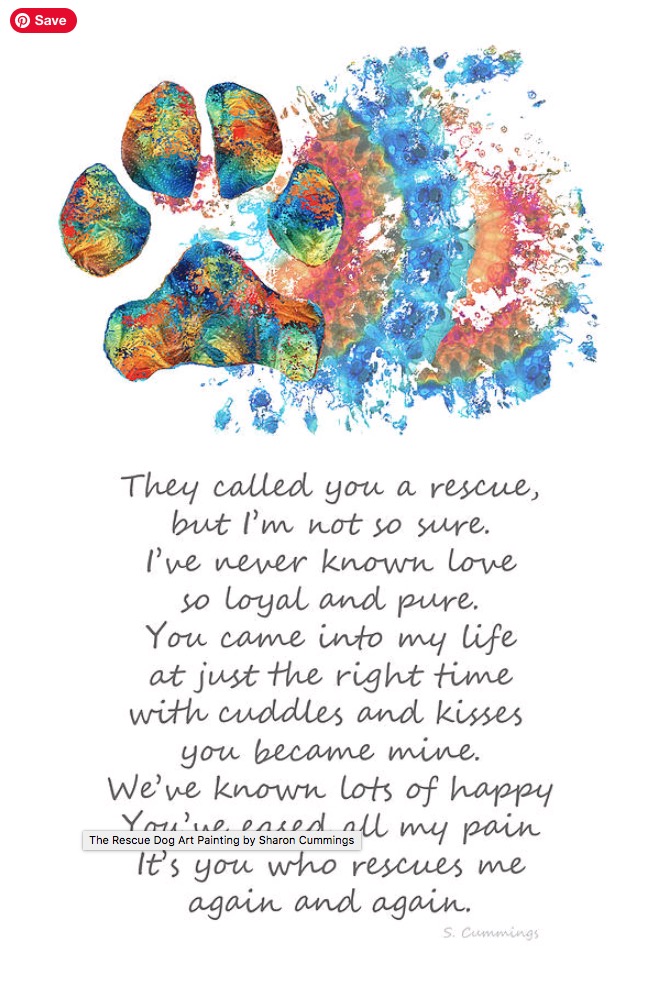 Terracegallery's tweet image. The Rescue: sharoncummingsart.pixels.com/featured/the-r… #dog #dogs #woof #puppy #puppies #puppylove #dogmom #dogdad #doglovers #doglove #SharonCummingsArt #buyintoart
