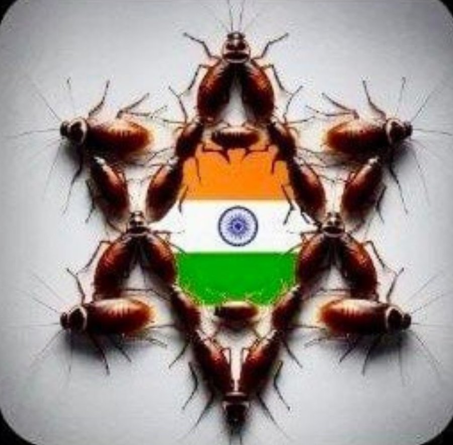 🤣🤣🤣🤣🤣 tweet media