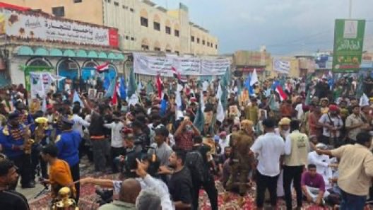 محمد العرب tweet media