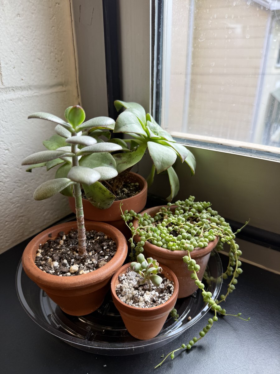 Warren County Public Library tweet media