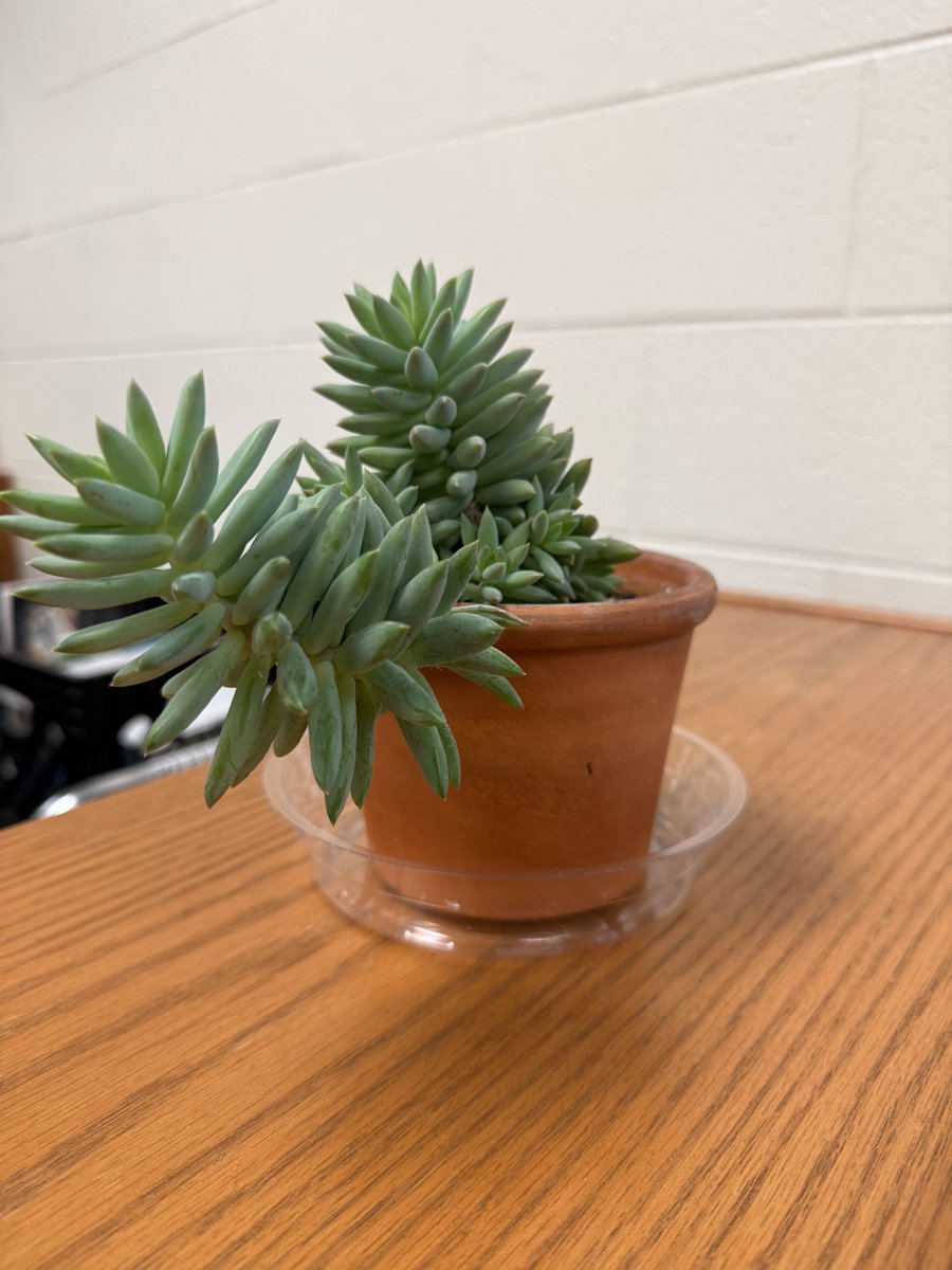 Warren County Public Library tweet media