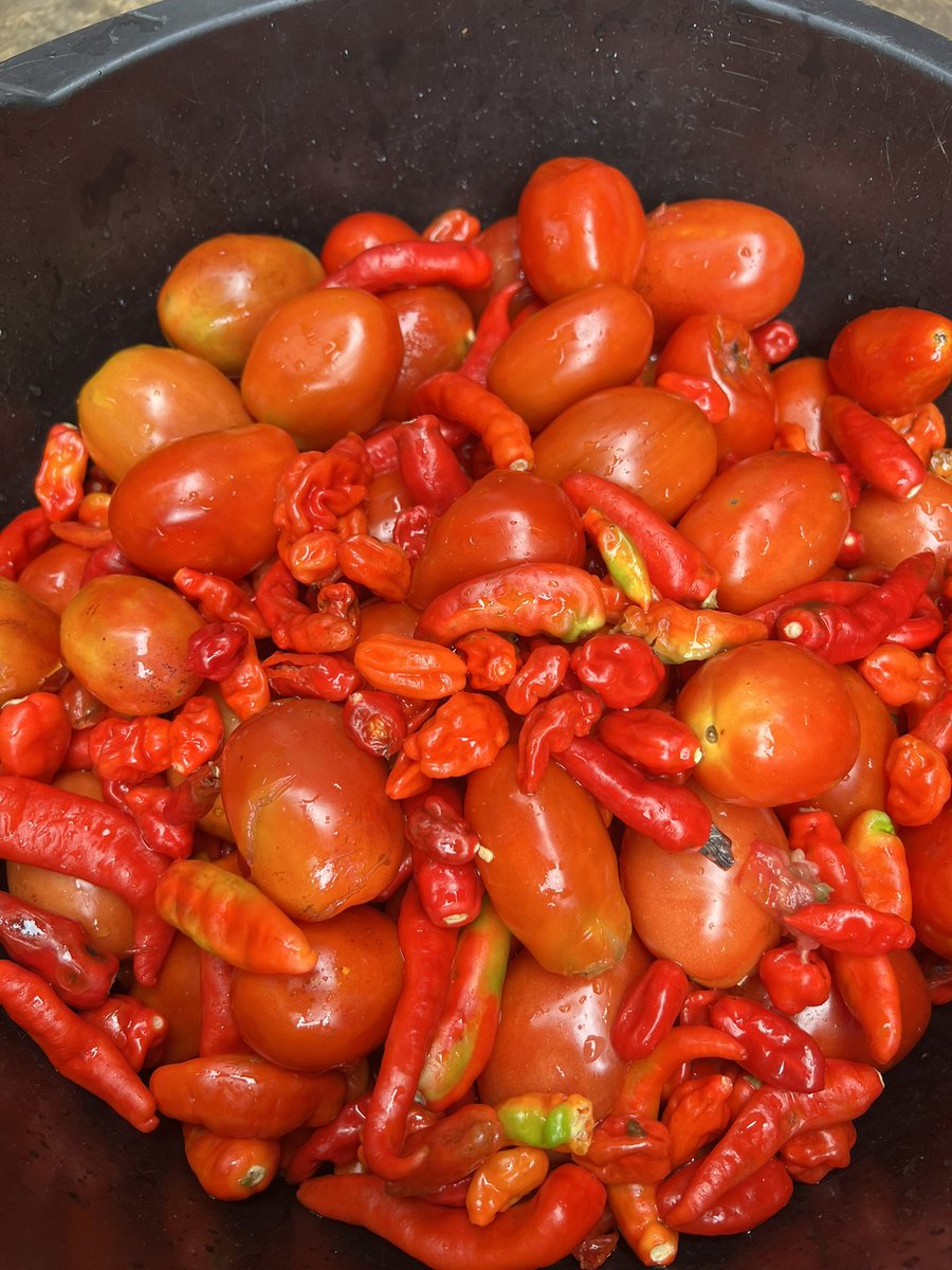 Odion Joseph kegn tweet media