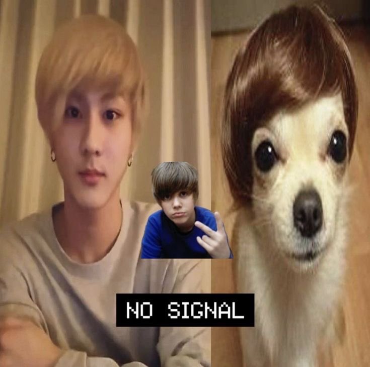 ตำรวจบี๋ tweet media