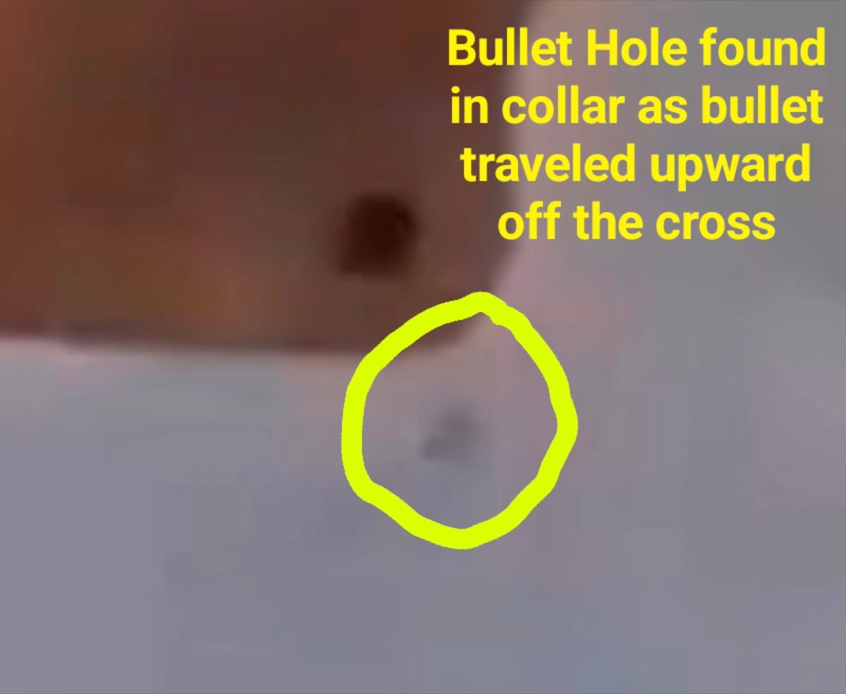 Val Venis™ (The Big Valbowski™) tweet media