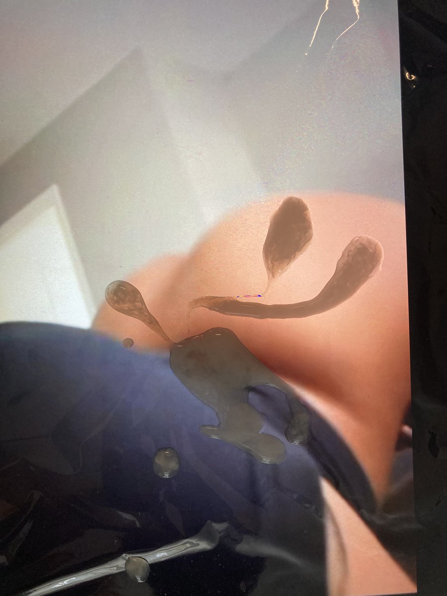 CoolTribs's tweet photo. Requested by @GoonTothisx
This was a great video to cum on
#cumtributeِs https://t.co/qUrfbKNGvh