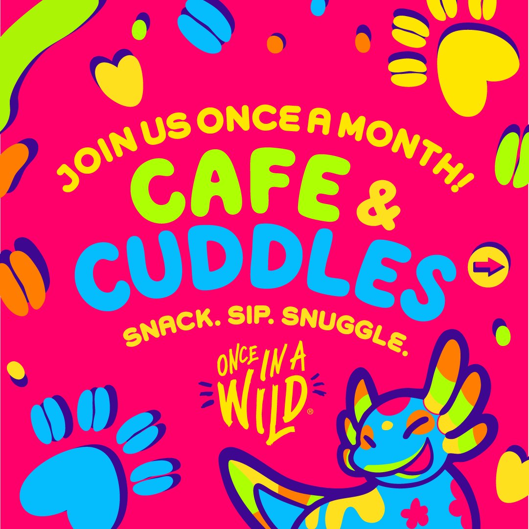 Once In A Wild tweet media