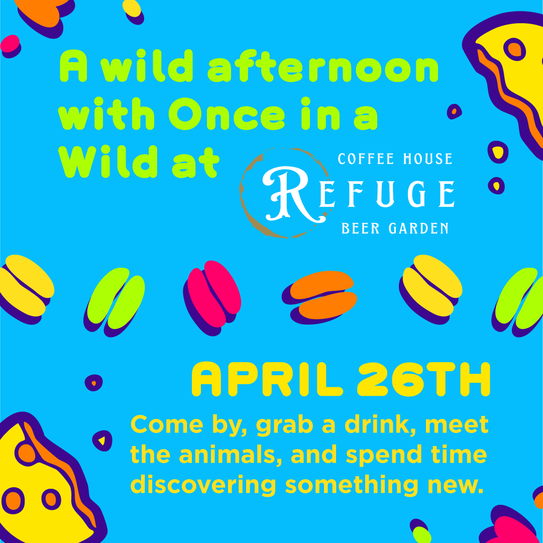 Once In A Wild tweet media