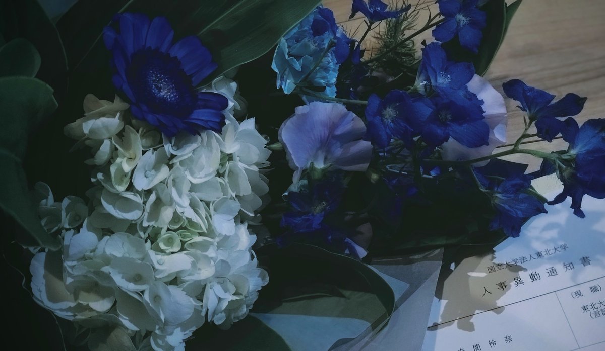 Reina Akama tweet media