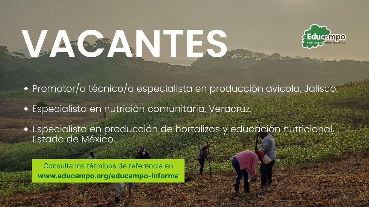 Educampo MX tweet media