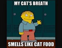 Alsace 🇺🇸🇬🇧 tweet media