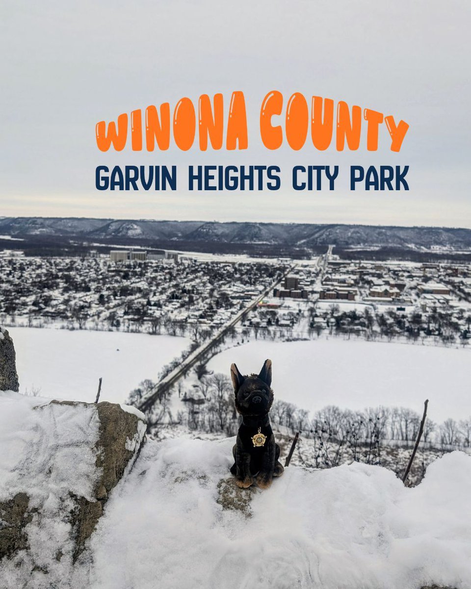 MN Sheriffs’ Association tweet media