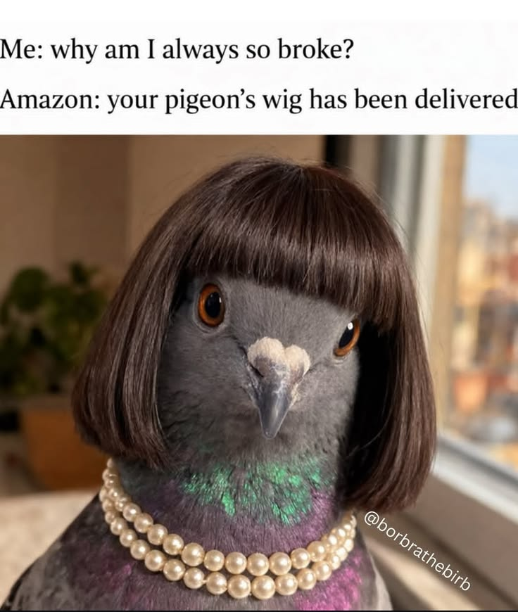 ᗩ ᑎ ᑎ E tweet media