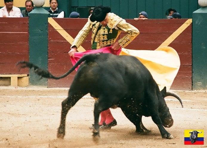 Toros Ecuador tweet media