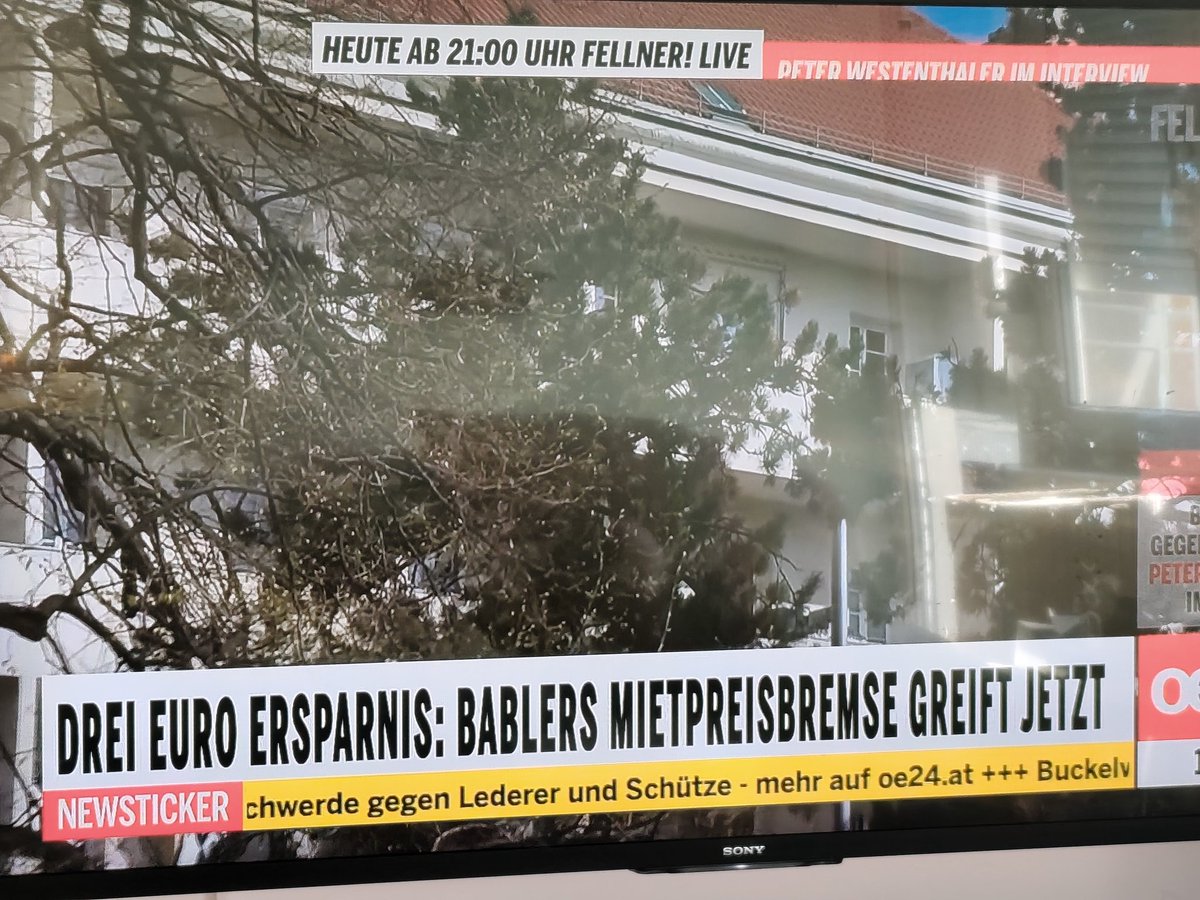 Romana Bortwander🇦🇹 tweet media