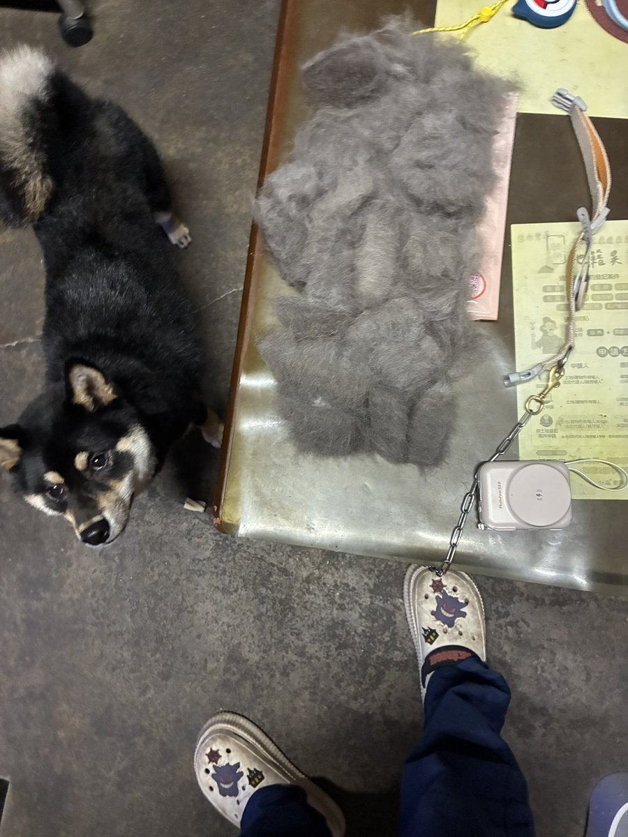 創傷性譫妄DaeDirge tweet media