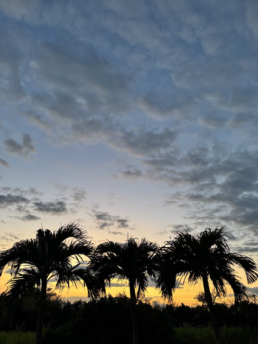 るちゅ tweet media