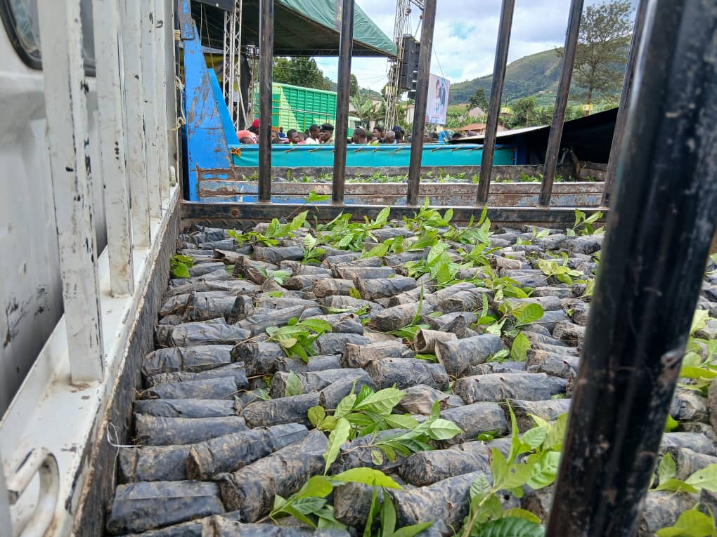 Katwire Molly🇺🇬🥰 tweet media