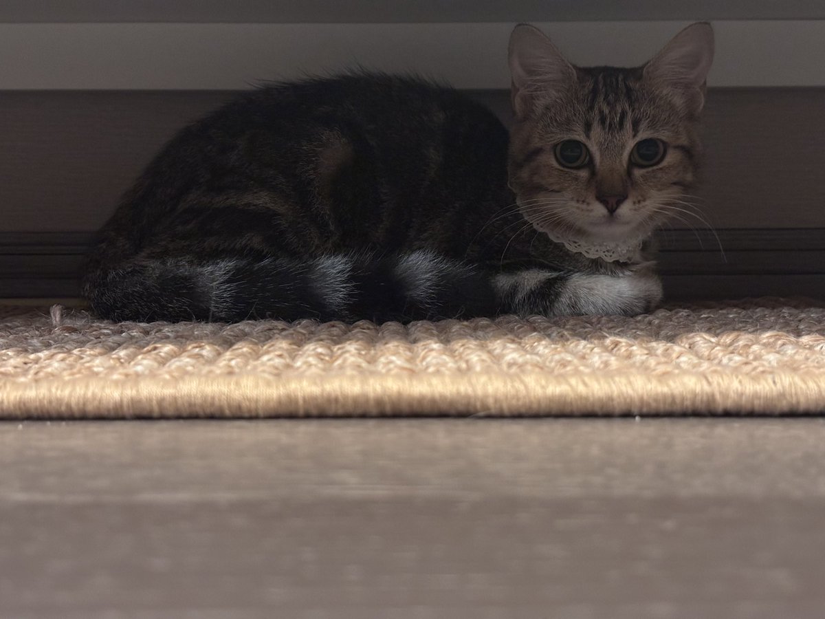 Luck Luke tweet media