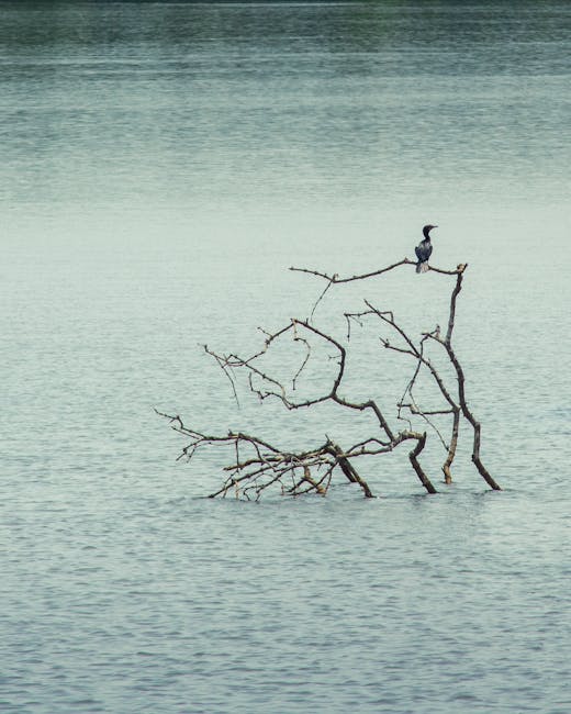 Meghan Tenamore tweet media
