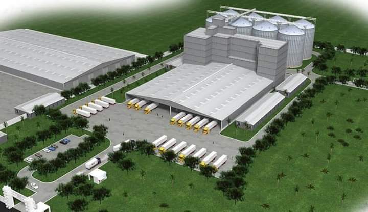 Yoruba Excellence tweet media