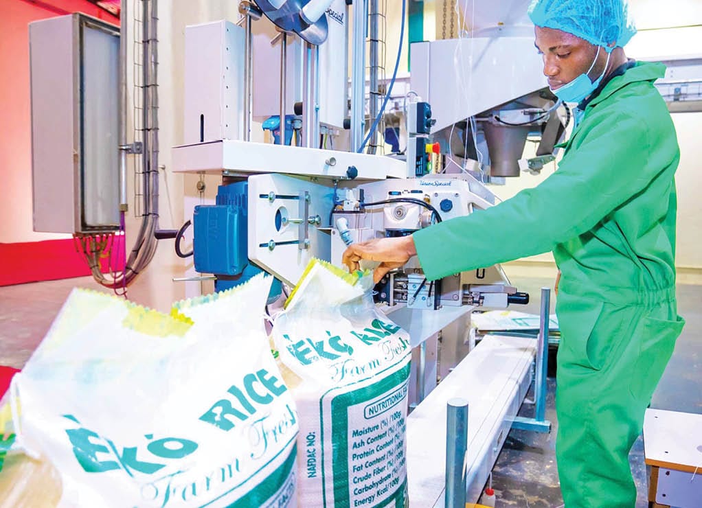 Yoruba Excellence tweet media