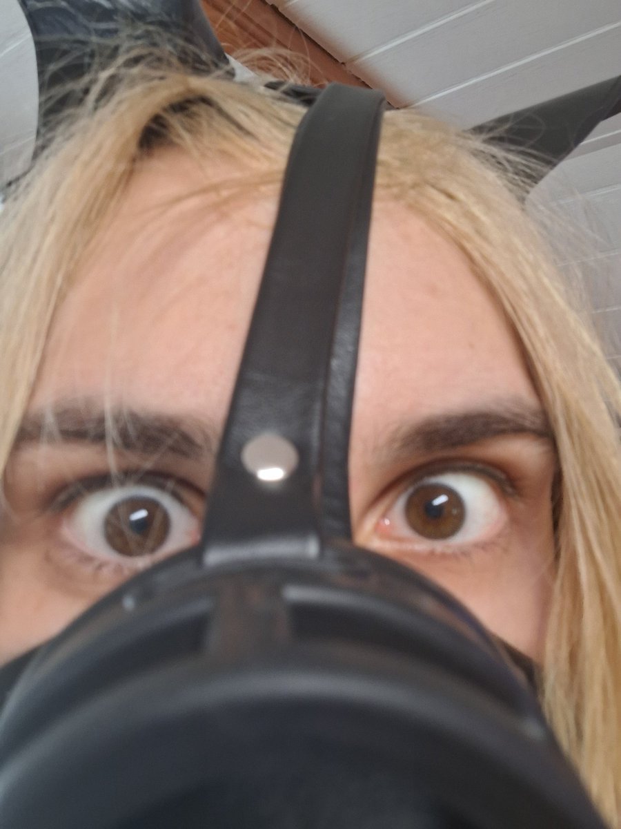 Synthetic Obscurity tweet media