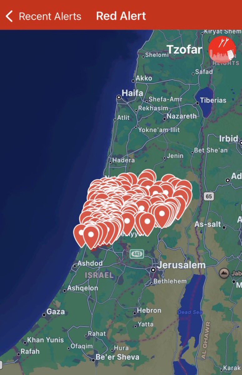 Visegrád 24 tweet media