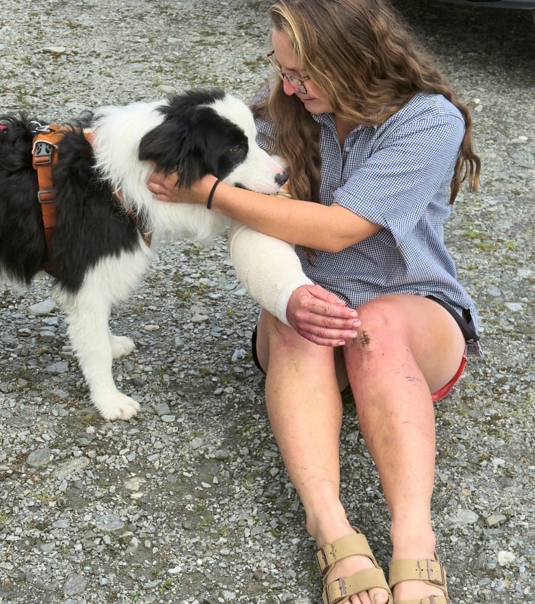 SolomonFoskaay's tweet photo. I dove deep into this heartwarming story of the border collie Molly rescued by helicopter in New Zealand that's going viral - here are the key verified facts in concise points:

The Dog & Owner:  
Molly, a border collie, belonged to hiker Jessica Johnston. On March 24, 2026, Jessica fell 180 feet from a waterfall in the Arahura River area of Hokitika Gorge on New Zealand’s South Island. Rescuers evacuated the injured woman by helicopter but could not locate Molly, who was left behind in the rugged wilderness.

The Search Effort:  
Molly survived alone for a full week. Pilot Matt Newton of Precision Helicopters New Zealand led multiple search flights. When initial efforts failed, strangers and supporters raised more than 11,000 New Zealand dollars ($6,300) through a fundraiser to cover extra flying hours and advanced equipment (including thermal imaging gear).

The Rescue (March 31, 2026):  
On Tuesday, March 31, Newton conducted a final search flight with a veterinary nurse, volunteer searchers, and a rescue dog named Bingo. Using thermal imaging, they spotted Molly just meters from the waterfall. 

Volunteer Wayne Holmes was lowered to the ground with Bingo; the team coaxed the hungry but surprisingly healthy dog to safety. Molly was then flown out and reunited with Jessica later the same day in an emotional reunion.

Current Status:  
Molly is safe, back with her owner, and reportedly in good condition after her ordeal. The story has touched millions because of the community effort and the pilot’s determination to bring the dog home.

A beautiful real-life example of kindness and persistence saving a lost pet in a remote wilderness.

Share if this made your day and drop your thoughts below: Have you (or someone you know) ever had a lost pet returned after a long search?  

🙏 Kindly Follow me for more deep dives on trending events like this, news, sports, animals stories, aviation and more stories daily!