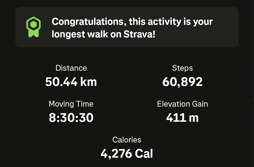 ian ☀️ tweet media