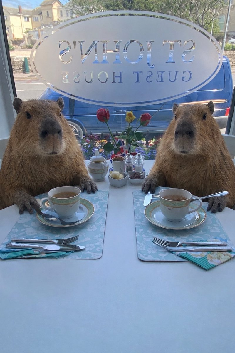 St Johns Guest House tweet media