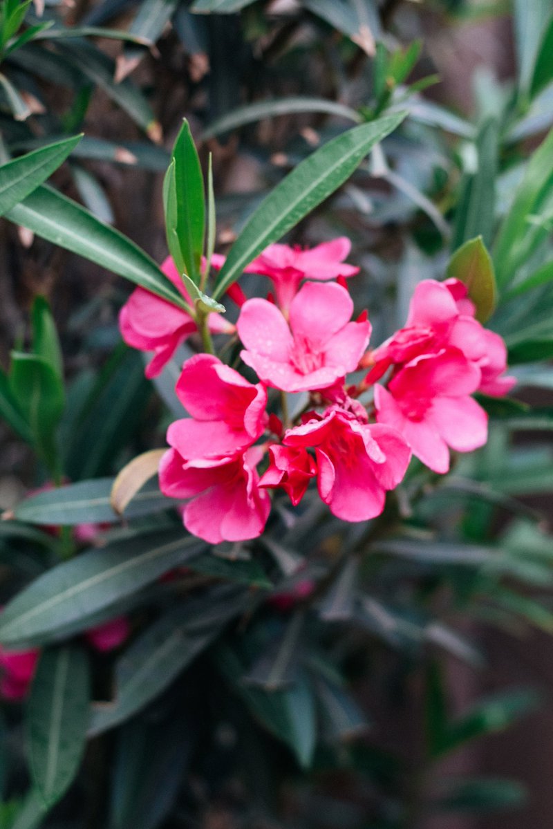 Cutman Casey tweet media