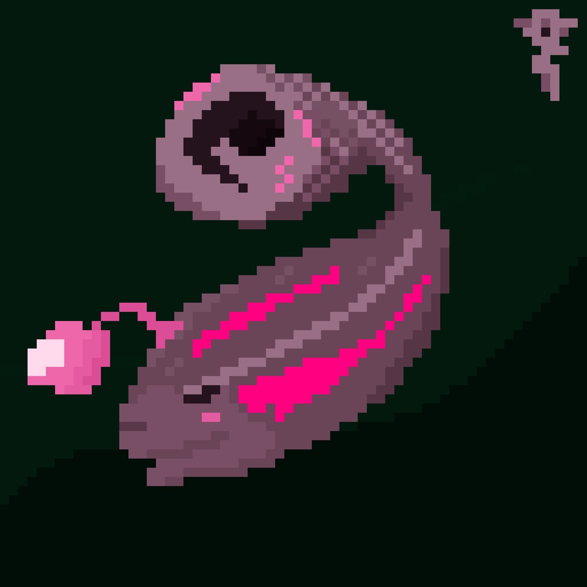 The Suiologist ☌ tweet media