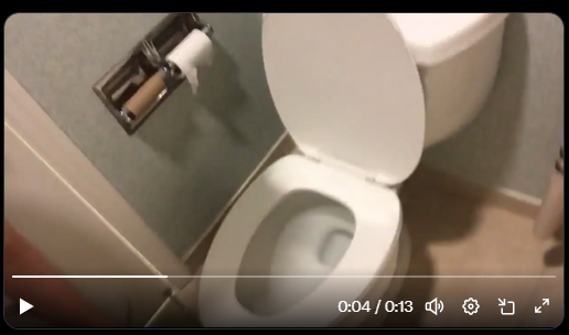 Michael_Phone_'s tweet photo. @ikoaio Jerma must do some serious damage to the porcelain if he needs 2 toiler paper rolls like a Holiday Inn. https://t.co/RpF7qgMHcQ