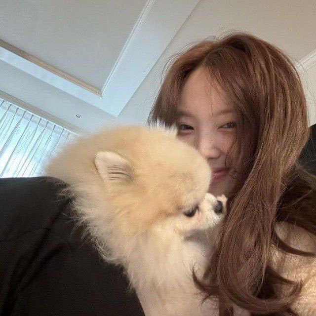 ✿ Yumi tweet media