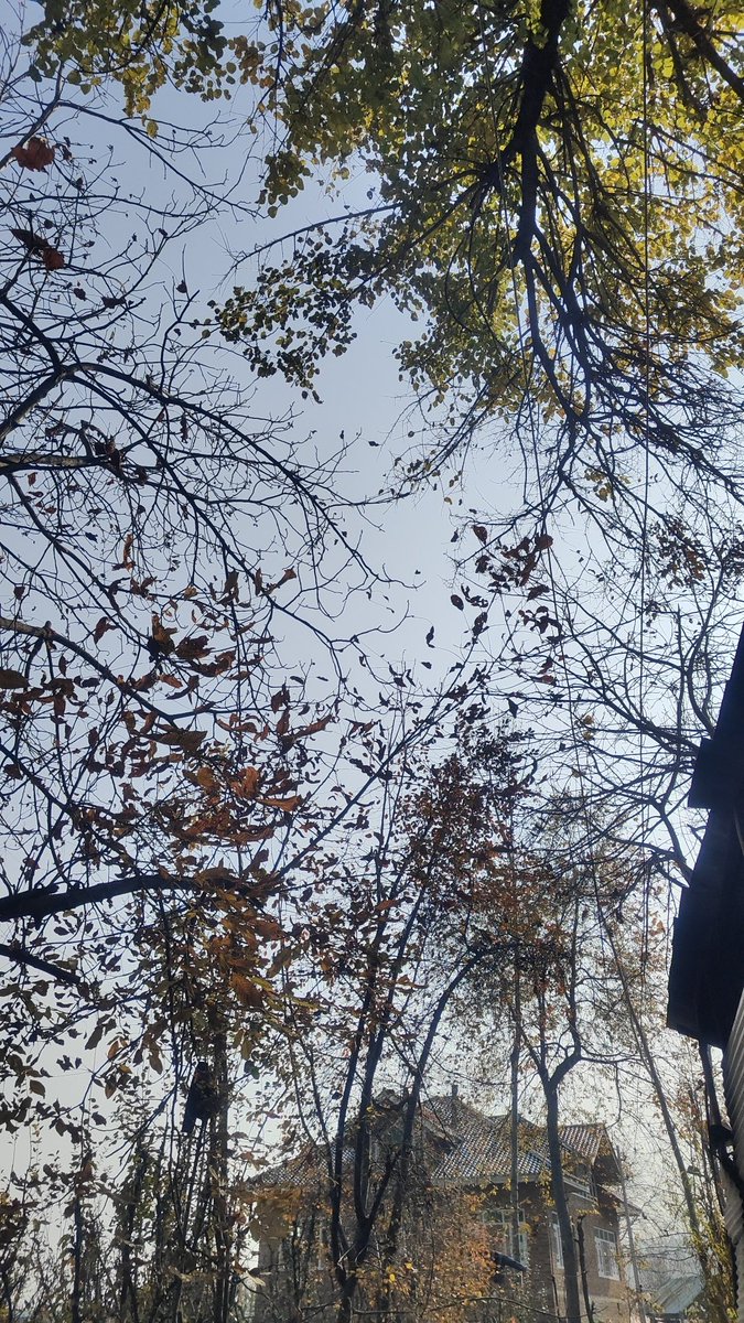 رِيـحـــــــــــــان 🇵🇸 tweet media