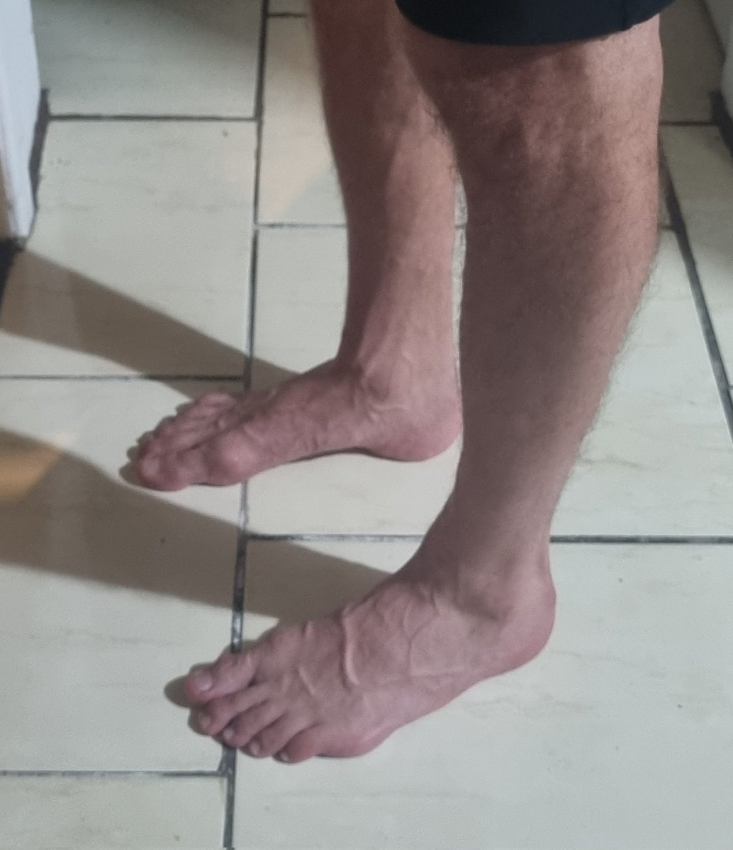 Alpha Giant tweet media