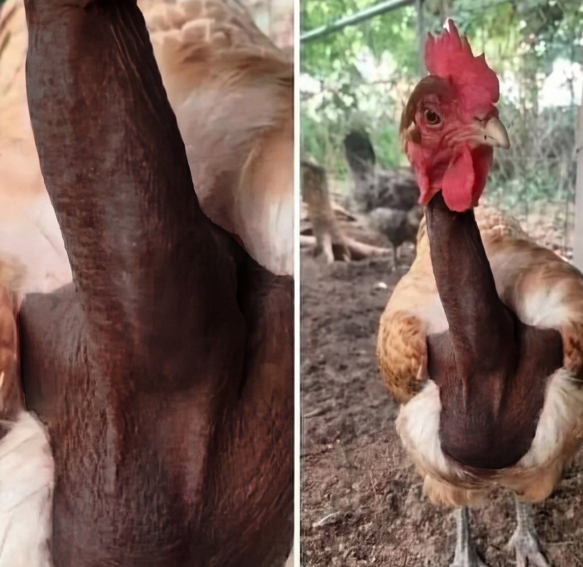 Notsokka OF tweet media