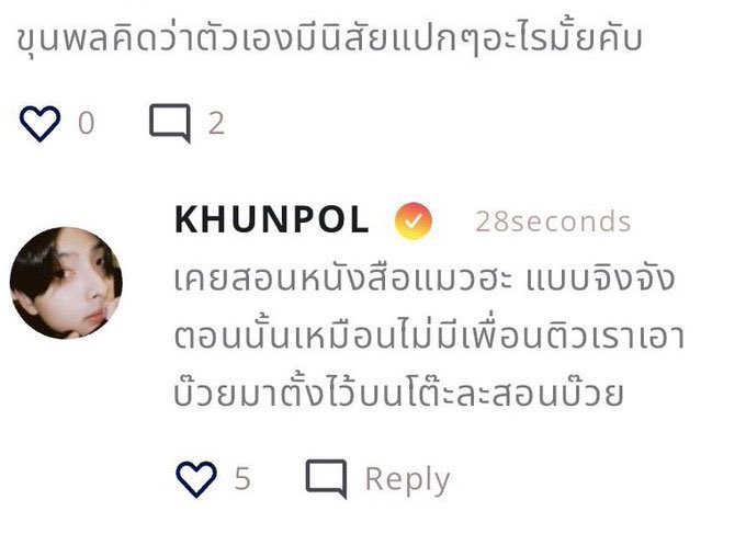 sunset 🐈‍⬛🌙 tweet media