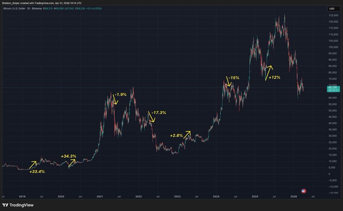 Sheldon Diedericks tweet media