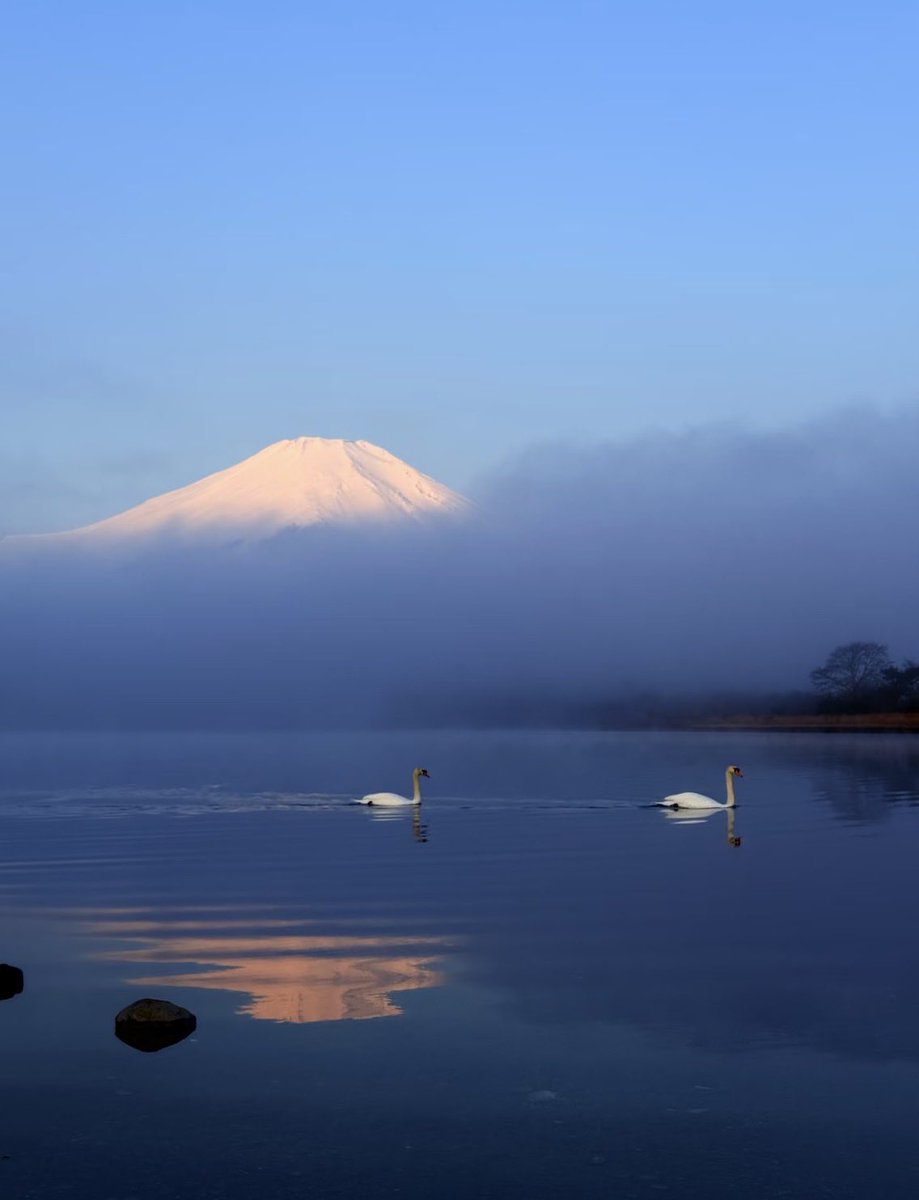 Ann（互fo互赞） tweet media