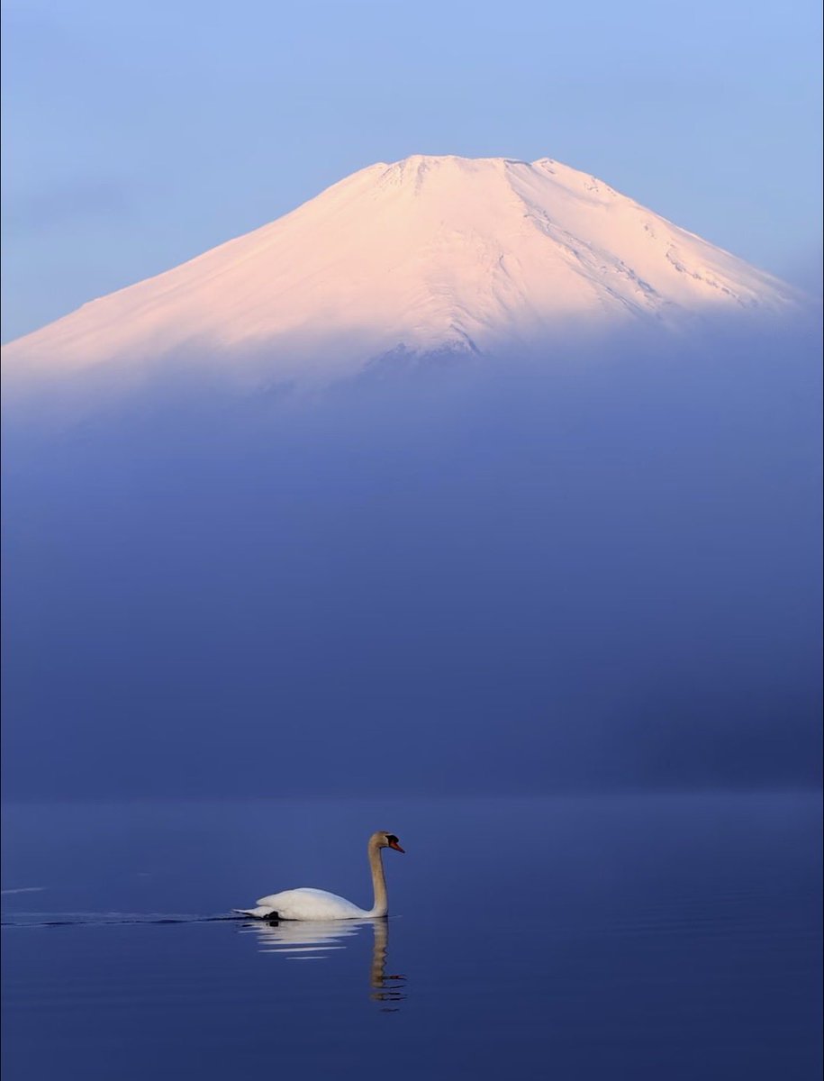 Ann（互fo互赞） tweet media