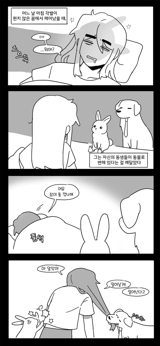 안용하세요 tweet media