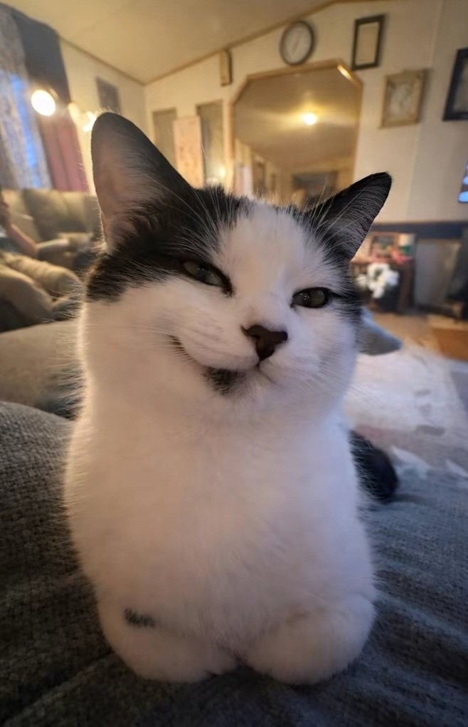 lwantamcchicken tweet media